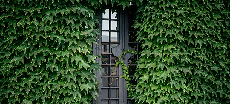 Garden Gate Repair in West Melbourne, FL