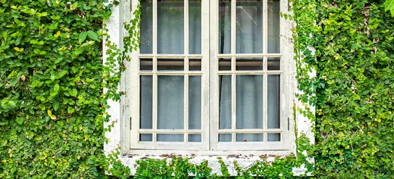 Garden Window Repair Near Me in West Melbourne, FL