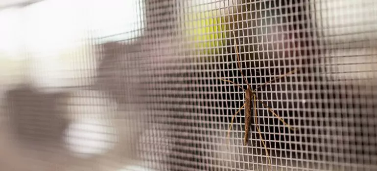 Repair Mosquito Mesh For Windows in West Melbourne, FL